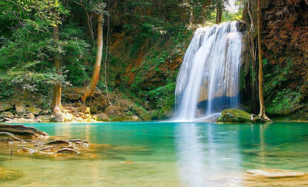 wellbeing is in nature